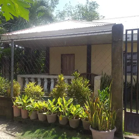 Pescador View - Beachfront & Nearby The Ocean Hostels & Restaurant Moalboal Exterior photo