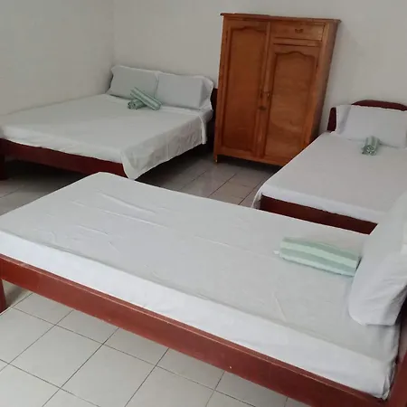 Pescador View - Beachfront & Nearby The Ocean Hostels & Restaurant Moalboal Room photo
