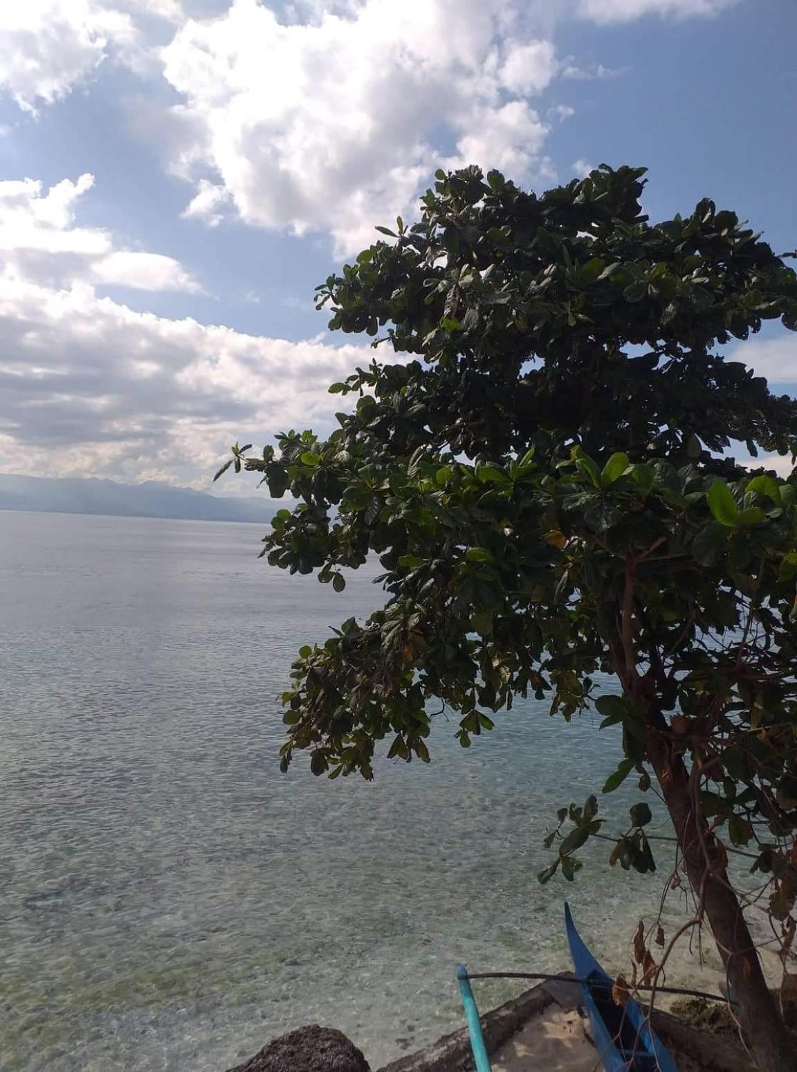 Resort Pescador View - Beachfront & Nearby The Ocean & Restaurant Moalboal